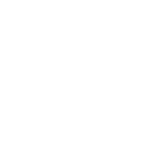 Nature-based Solutions Initiative
