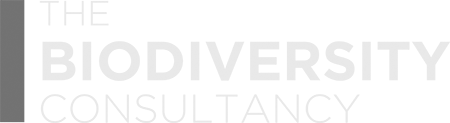 The Biodiversity Consultancy logo